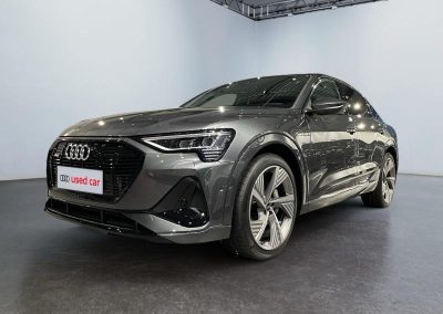 Audi e-tron SUV